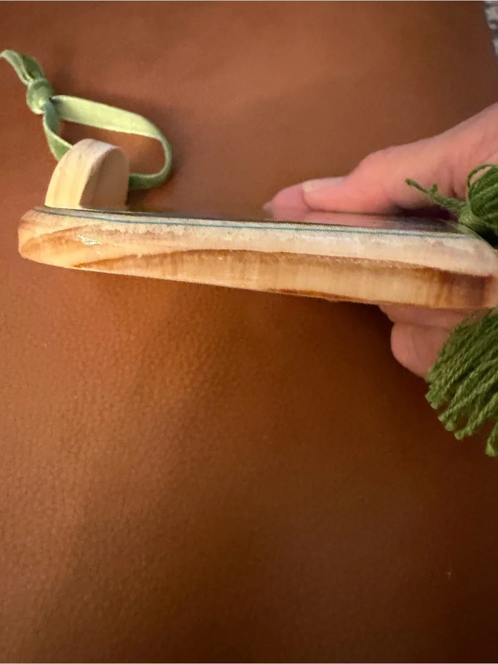 Sea Turtle Wood Hanging Ornament
